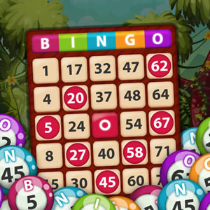 bingo online interativo