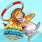 POCKET WINGS: Avião de Acrobacias