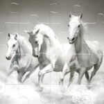 PUZZLES DE CAVALOS