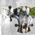 Quebra-cabeças de Cavalos online