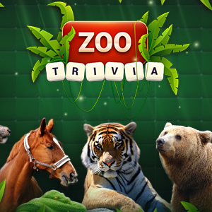 jogo multilíngue online