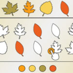 ASSOCIAÇÃO DE OUTONO: Formas e Cores