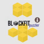 BLOCKFIT PUZZLER: Visão espacial