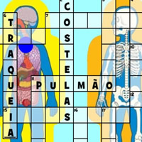 Palavras Cruzadas do Corpo Humano em COQUINHOS