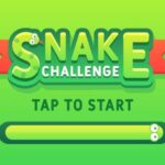 SNAKE CHALLENGE: Desafio Snake