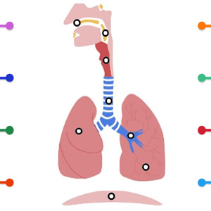 Jogo educativo o Corpo Humano 4-7 anos – Peketitos