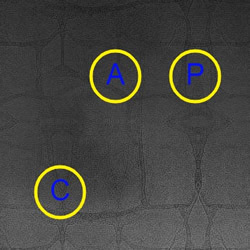 Redigitação De Notas Antigas Jogando Jogos De Texto Testando Digitação  Velocidade Digitação Transcrições Iniciando Novos Poemas Ro Imagem de Stock  - Imagem de conceitos, tecnologia: 222869853