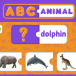 Flashcards Animais em Inglês