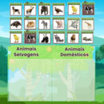 Classificar Animais Domésticos e Selvagens