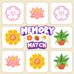 MEMORY MATCH: Memória para Adultos