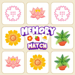 MEMORY MATCH: Memória para Adultos em COQUINHOS