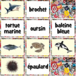 Memória dos Animais Marinhos em francês