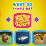 O que os animais comem