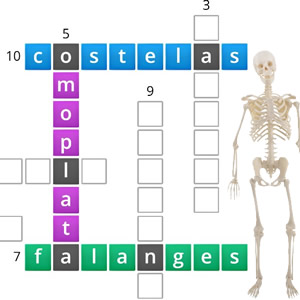 Multiplicando com os Pinguins em COQUINHOS