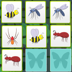 Jogo da Memória com Insectos