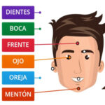 Partes do Rosto em Espanhol