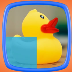 DUCK: O jogo do Pato em COQUINHOS