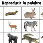 Quebra-cabeça dos Animais em Espanhol