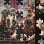 Quebra-cabeça com cães de Natal