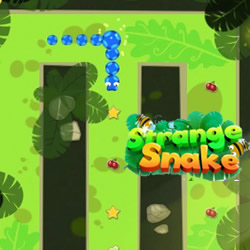 Jogar Snake - Jogue os Jogo da Cobrinha no Friv 5